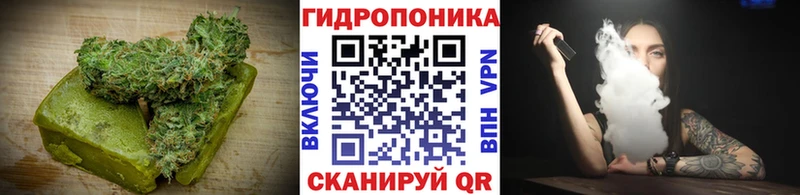 Купить где  Архангельск  Canna-Cookies конопля 
