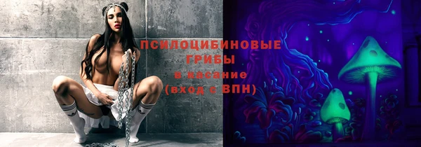 apvp Зерноград