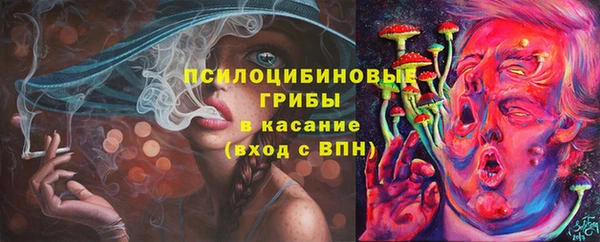 apvp Зерноград
