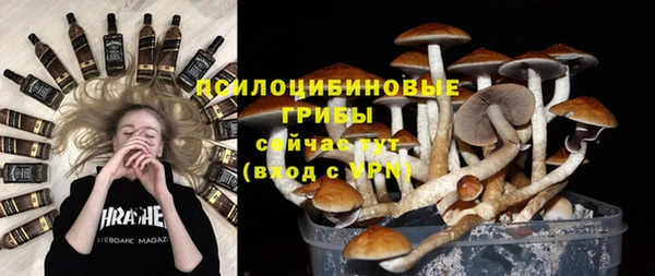 стафф Зеленокумск