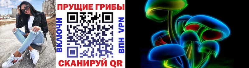 Купить  Архангельск  Псилоцибиновые грибы прущие грибы 